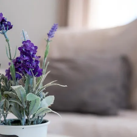 Calas D Vistas Al Mar Appartement Torrevieja