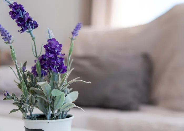 Calas D Vistas Al Mar Appartement Torrevieja